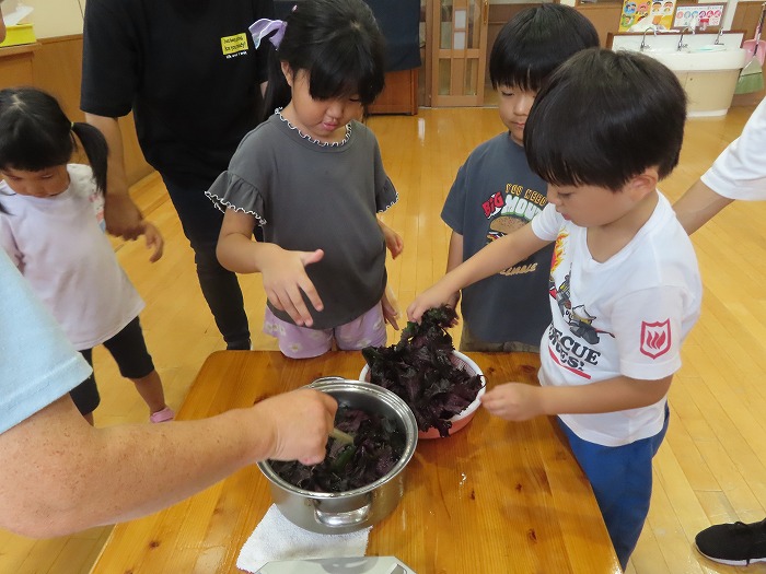 ５歳児　にじ組　８月の様子